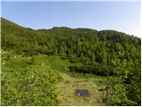 Kraljev hrib - Planina Rzenik